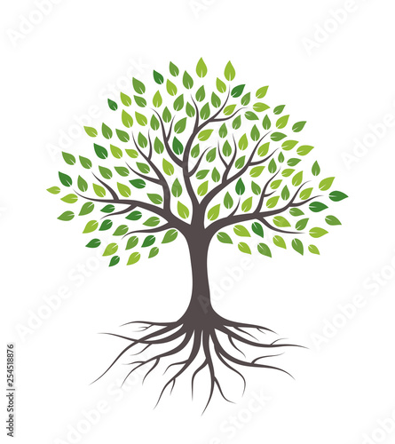 Tree with green leaves and roots. Isolated on white background. Flat style, vector illustration. 
