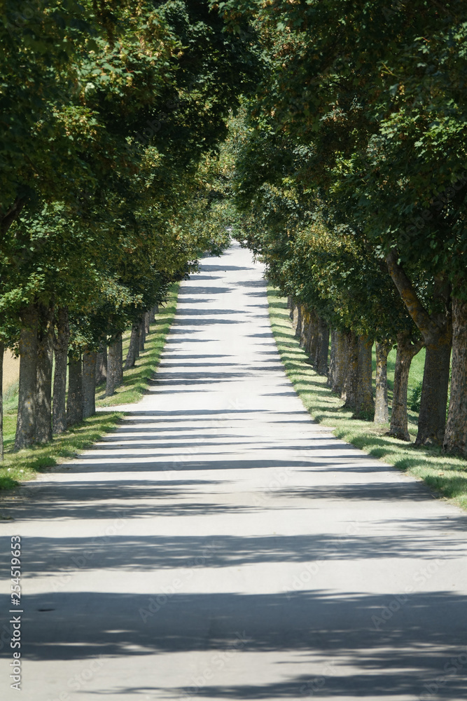 Allee bei Landsberg