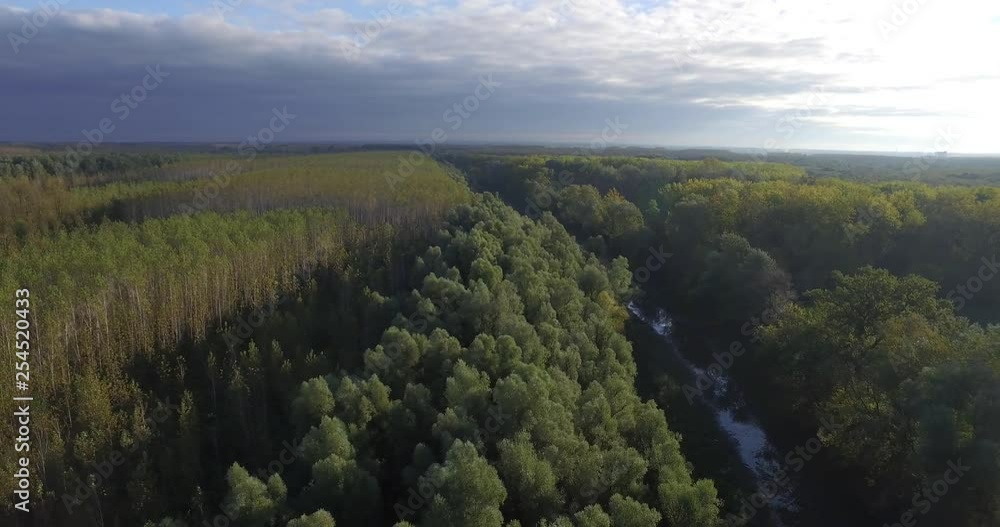 Flood basin, Danube, aerial view, floodplain forest Flood basin, Danube, aerial view, floodplain forest