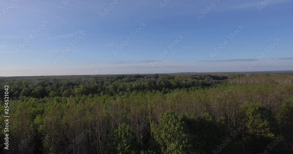 Flood basin, Danube, aerial view, floodplain forest Flood basin, Danube, aerial view, floodplain forest