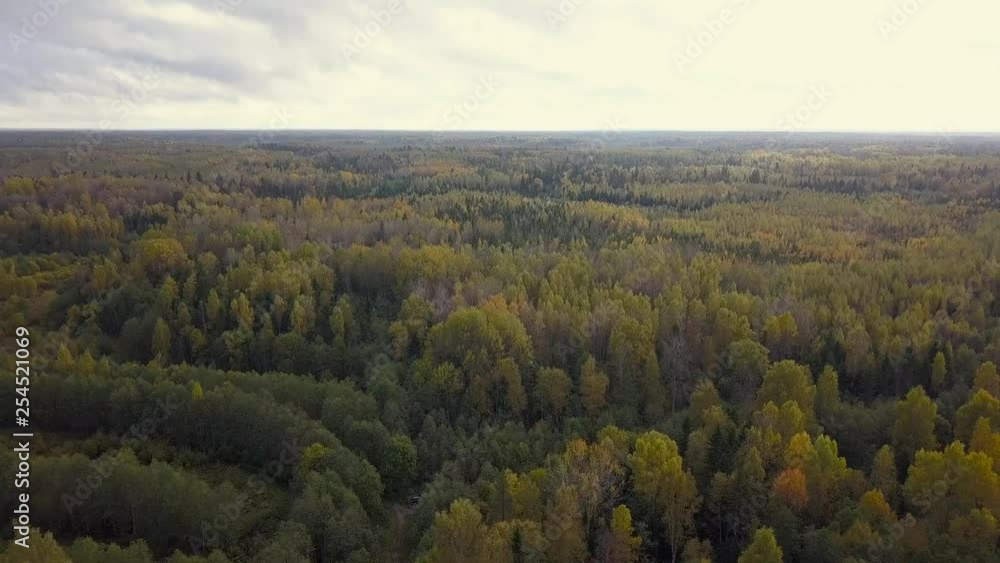 Autumn forest road aerial view Autumn forest road aerial view