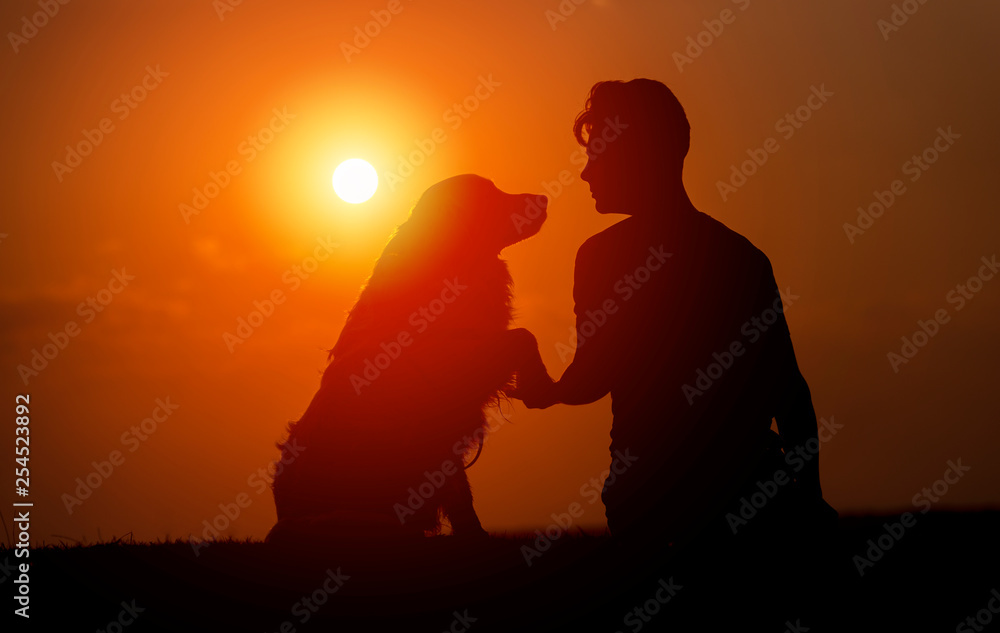 young man is sitting outside training his pet dog, and shaking hands on a summer evening, silhouetted by the sunset in the sky