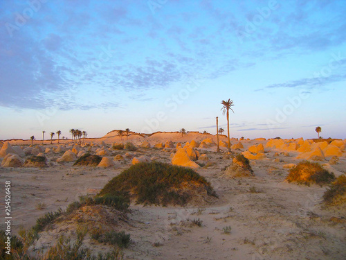 Sunrise in Chott el Djerid common Sciott Gerid, Shott el Jerid  salt lake in southern Tunisia. photo