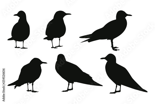 Set of seagull silhouettes