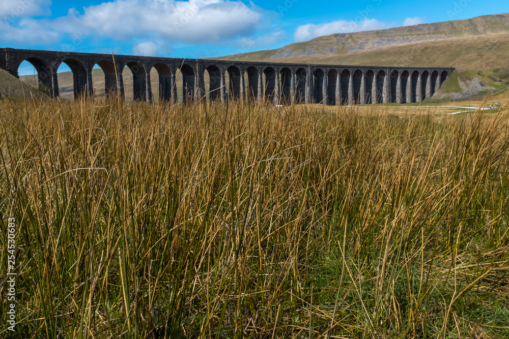 A distant shot through the meadow grass of the sweeping majestic Ribblehead Viaduct stands tall above the Ribble Valley, Yorkshire, England carrying the Settle to Carlise railway against a bright blue