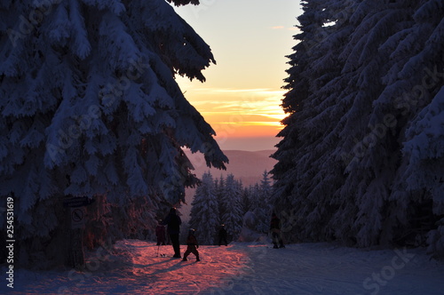 Sonnenuntergang im Harz/Hahnenklee