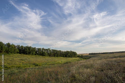 Clouds over the vast fields of ripe wheat in the middle of summer at sunset. 