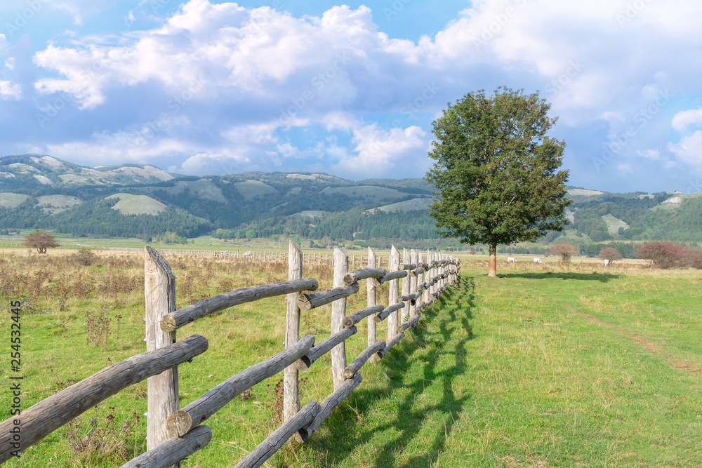 Wooden fence in the field on the background of mountains. Beautiful village landscape. Stock image.