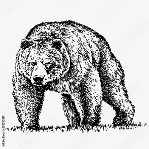 Bear silhouette vector illustration