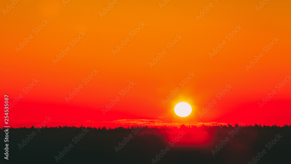 Sun Over Horizon At Sunset Or Sunrise. Natural Background In Warm Orange  And Yellow Colors. Dark Forest Ground. Stock Photo | Adobe Stock