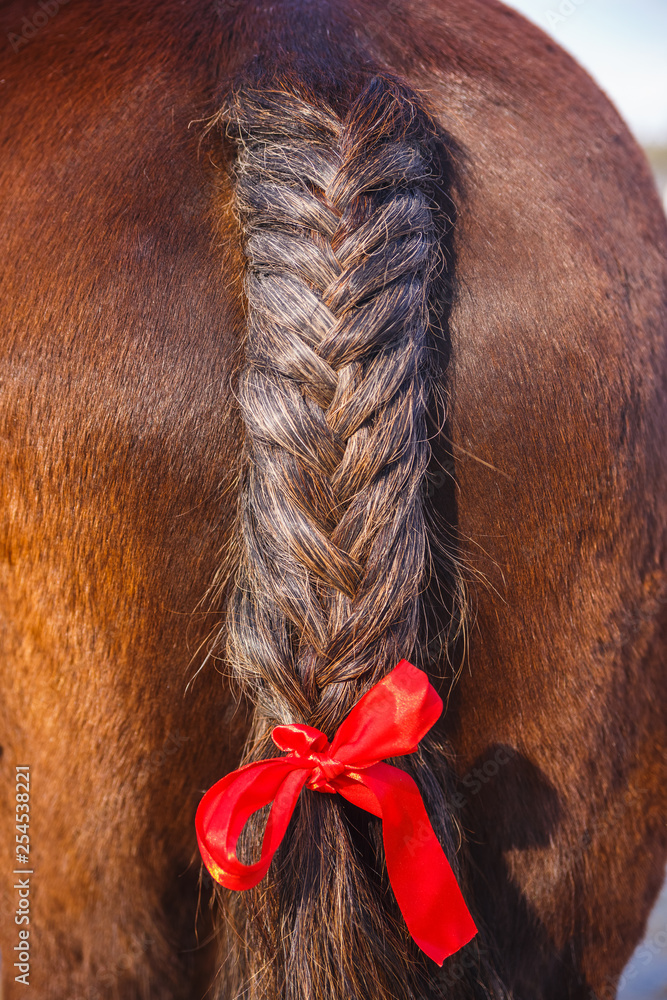 Galloping Horse Embroidered Cap with Horse Hair Braid