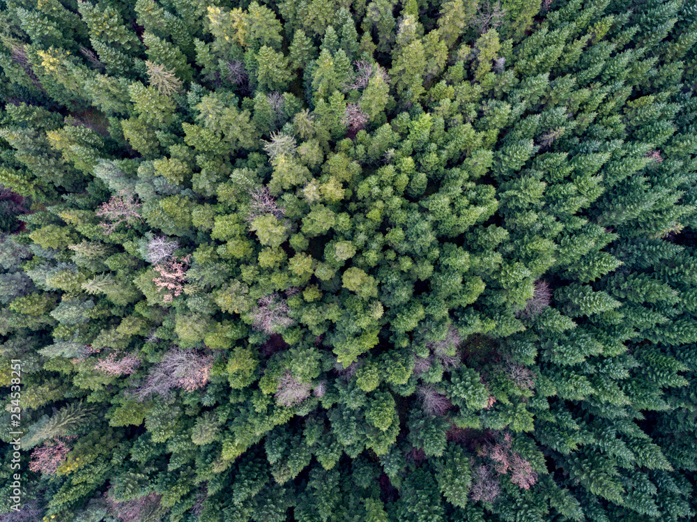 Green Green
