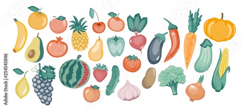 vector illustration of different vegetables in the flat style.vector illustration