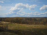 Landscapу with field, forest and sky with clouds in spring day.