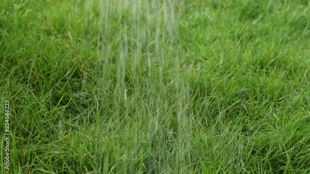 Watering the grass Watering the grass