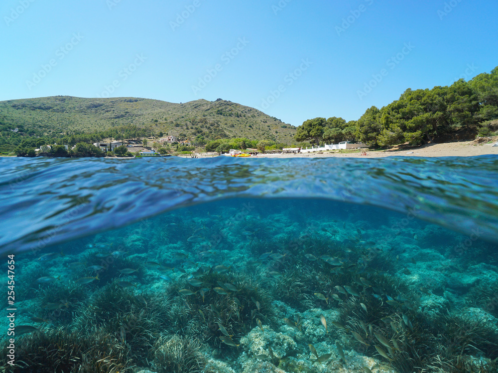 Spain Costa Brava coastline with fish and seagrass underwater, Mediterranean sea, Cala Montjoi, Roses, Catalonia, split view half over and under water