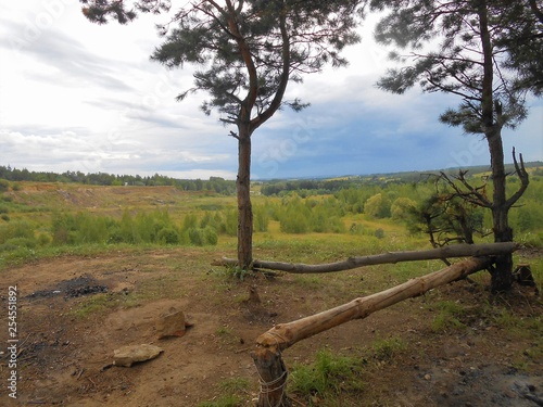 Pines in the park with fireplace.