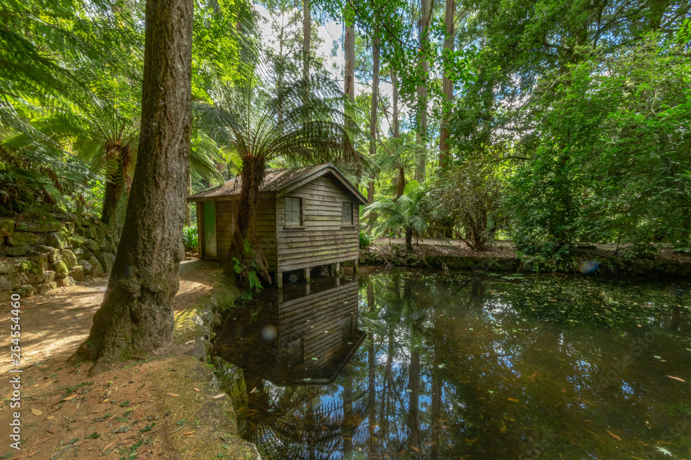 Obraz premium On the Pond