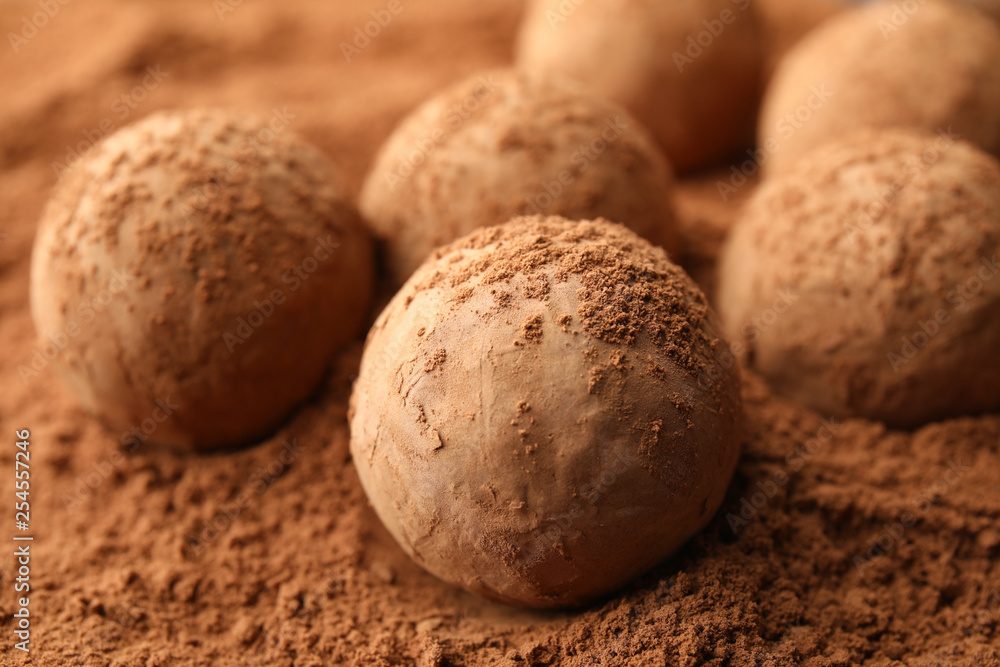 Tasty chocolate truffles on cocoa powder, closeup Tasty chocolate truffles on cocoa powder, closeup