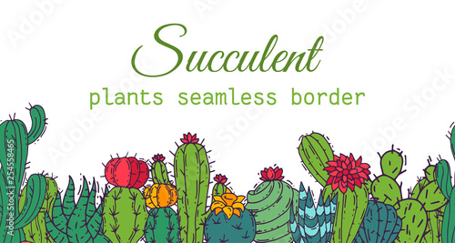 Succulents seamless border pattern cacti green plants vector illustration. Nature botanical houseplant floral banner. Cactus design botany bouquet. Decorative flora garden card.