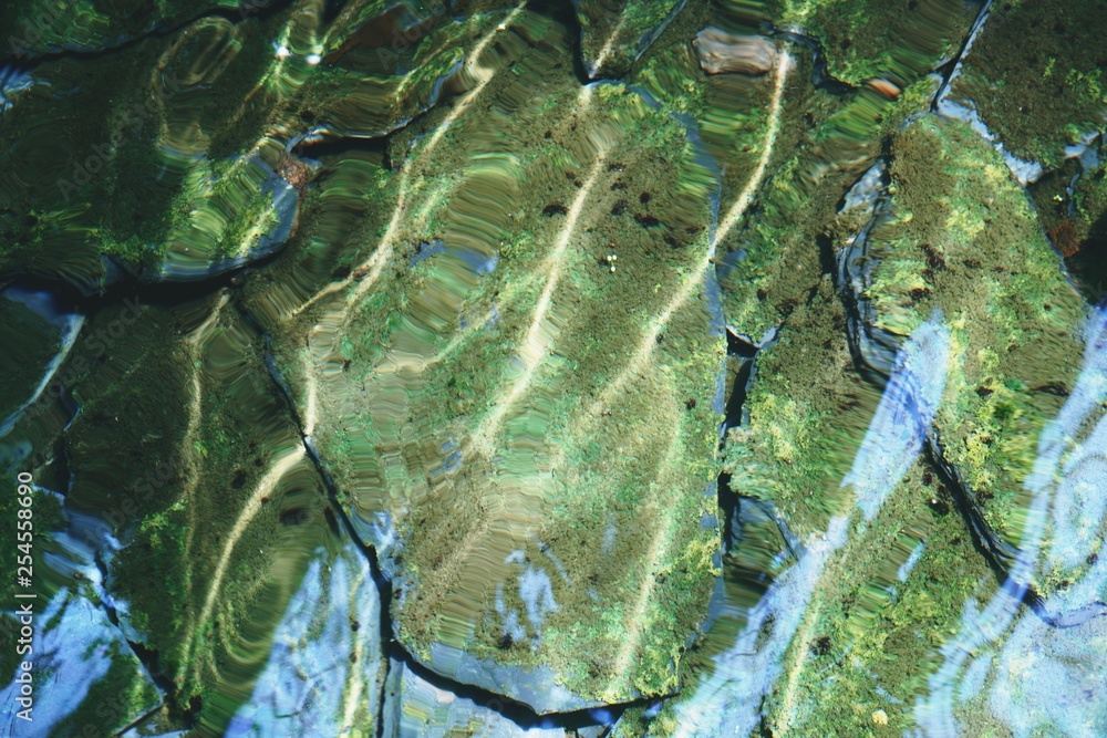 green moss and stone under water in lake at sunrise