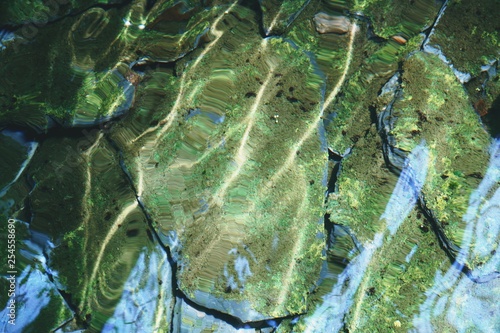 Obraz na płótnie green moss and stone under water in lake at sunrise w salonie