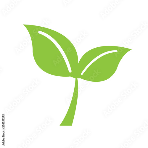 Isolated leaves image. Eco icon. Vector illustration design
