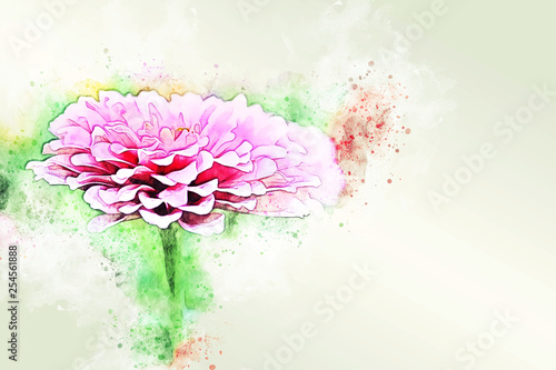 Fototapeta Naklejka Na Ścianę i Meble -  Abstract colorful flower blooming watercolor illustration painting background.