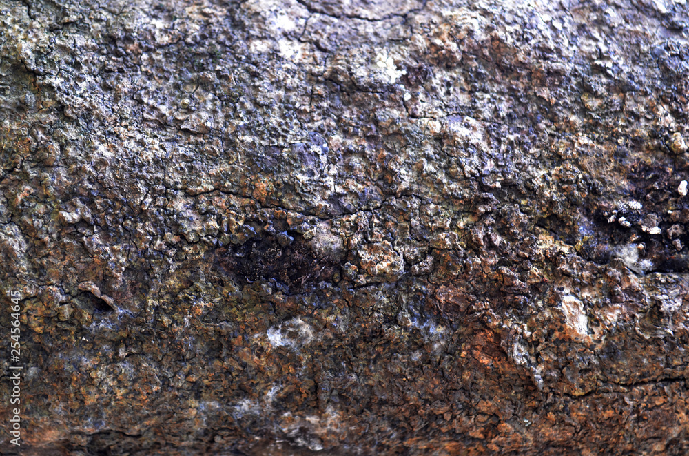 Pepagan is also called bark, which is the outermost layer of stems Pepagan is also called bark, which is the outermost layer of stems