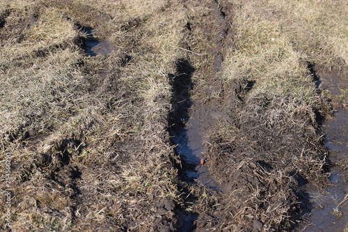 Tire Ruts photo