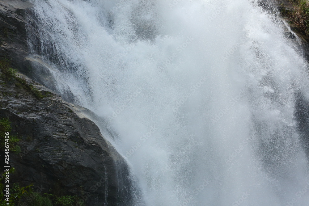 Obraz premium waterfall in nature forest, beautiful landscape