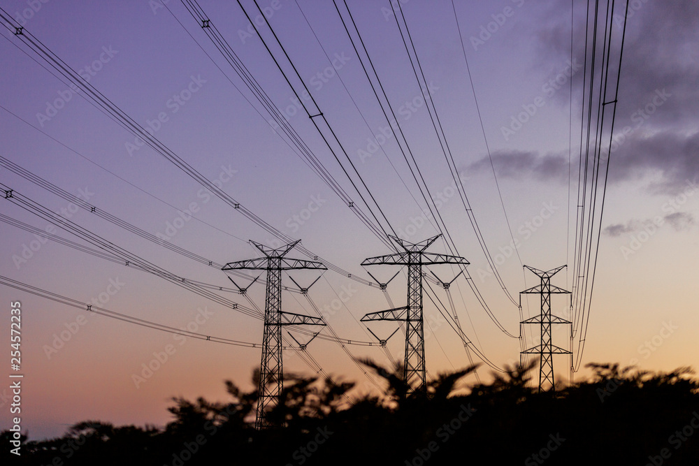 Electricity pylons hanging over natural landscape at dusk.