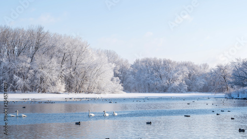 Snow covered forests and lakes in winter © Yan
