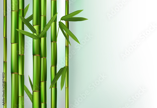 Green bamboo trunks background realistic vector illustration