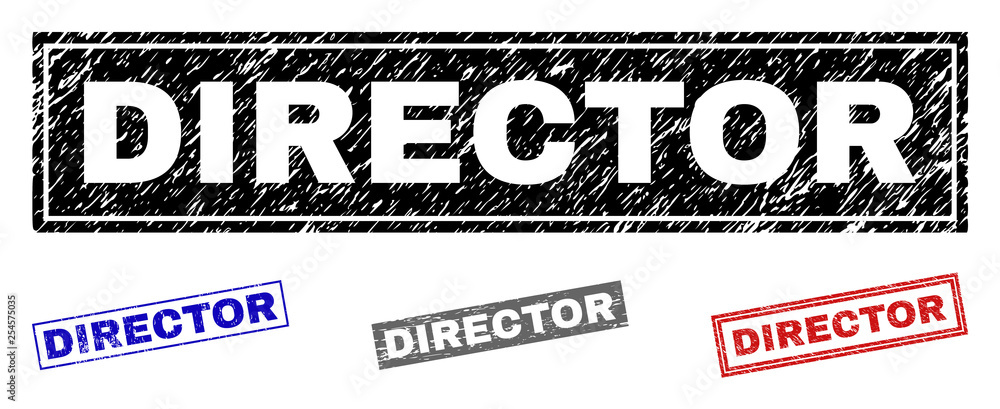 Grunge DIRECTOR rectangle stamp seals isolated on a white background. Rectangular seals with grunge texture in red, blue, black and grey colors. Grunge DIRECTOR rectangle stamp seals isolated on a white background. Rectangular seals with grunge texture in red, blue, black and grey colors.