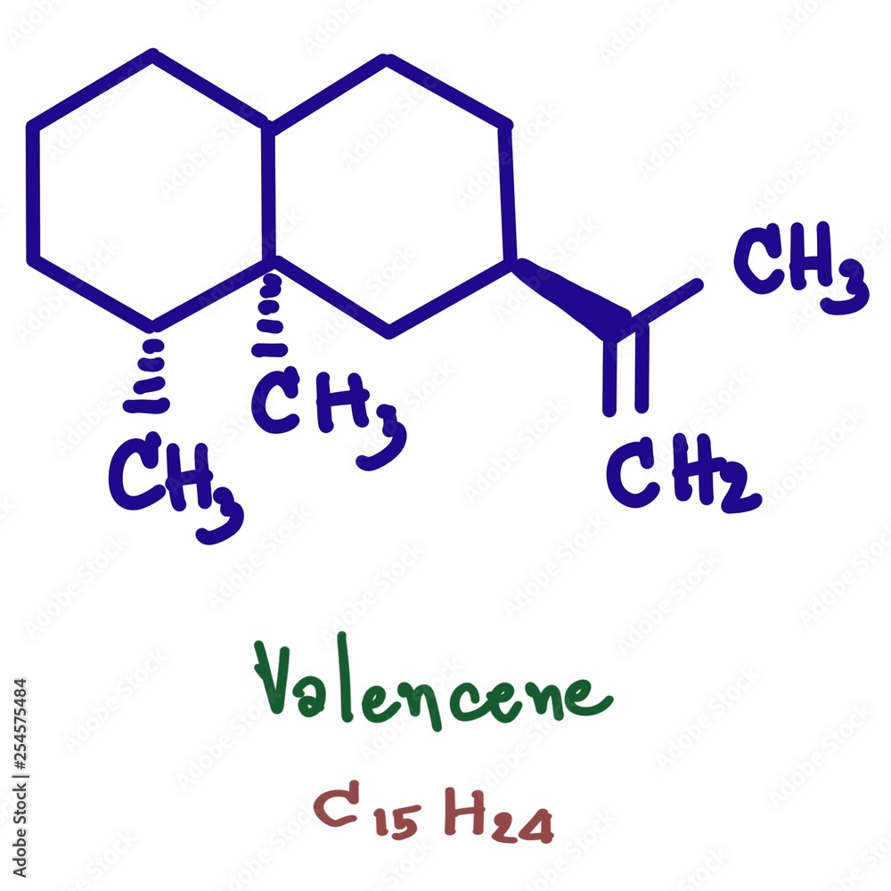 Valencene is a sesquiterpene that is an aroma component of citrus fruit and citrus-derived odorants. It is obtained inexpensively from Valencia oranges. Vector illustration Valencene is a sesquiterpene that is an aroma component of citrus fruit and citrus-derived odorants. It is obtained inexpensively from Valencia oranges. Vector illustration