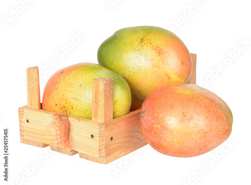 ripe mangoes photo