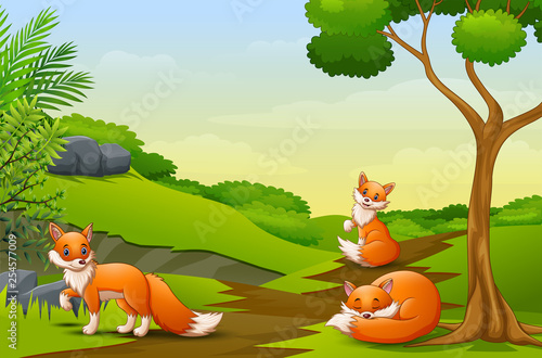 Cartoon three a fox enjoying on the field