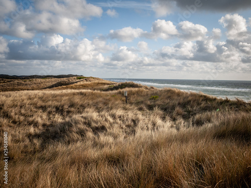 The German island of Sylt late in the summer