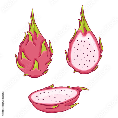 Vector Set of Cartoon Dragon Fruit Pitahaya