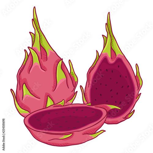 Vector Set of Cartoon Dragon Fruit Pitahaya