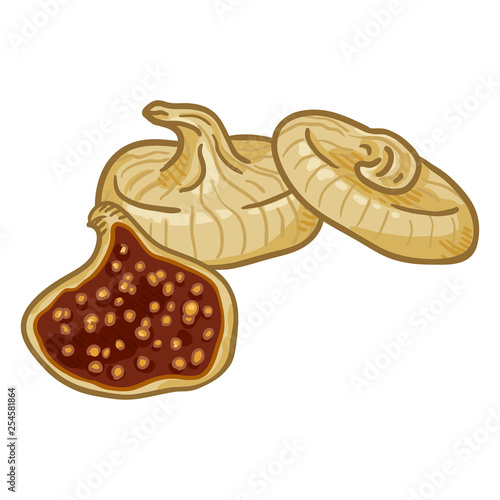 Vector Cartoon Dried Fig Fruit
