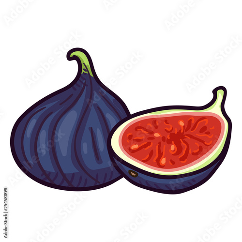 Vector Cartoon Fresh Blue Fig Fruit