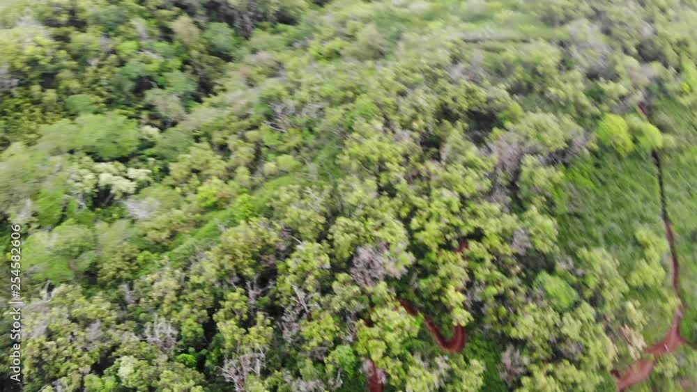 Tropical Forest in Hawaii
4K Drone Aerial Sleeping Giant, Kapaa Hill Hike - Kauai, Hawaii Tropical Forest in Hawaii
4K Drone Aerial Sleeping Giant, Kapaa Hill Hike - Kauai, Hawaii