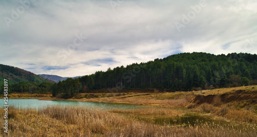 Lonely pine tree on the banks of Doxa lake in Korinthia Greece. Beautiful landscape with vivid colors.