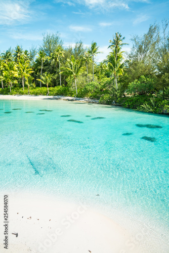 Fototapeta Naklejka Na Ścianę i Meble -  Bora Bora, French Polynesia (Tahiti)