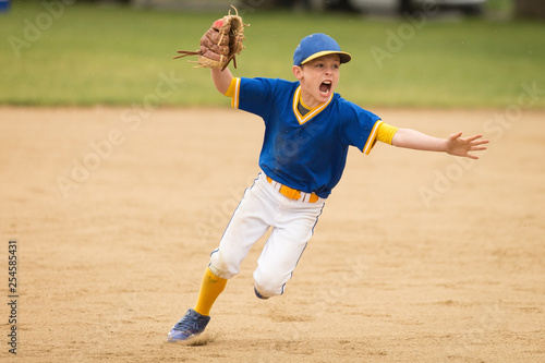 little boy playing baseball and celebrating