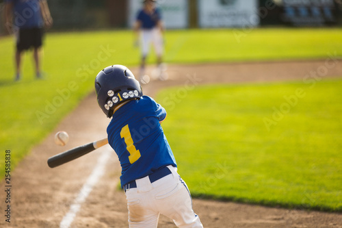 Canvastavla Youth baseball player hitting ball