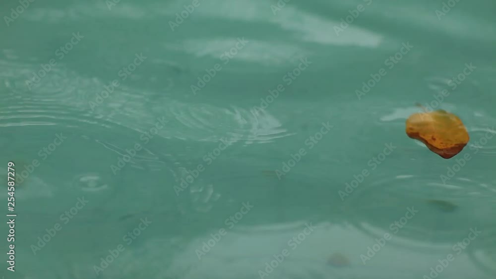 Raindrops falling on the surface of a blue pool, close up Raindrops falling on the surface of a blue pool, close up