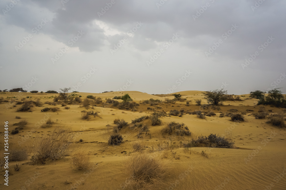 In the middle of the desert in Rajasthan, India In the middle of the desert in Rajasthan, India